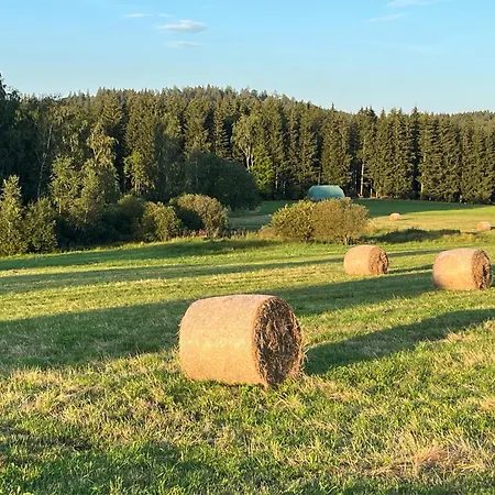 Hagert - Ankommen Und Wohlfuehlen Lejlighed Eibenstock