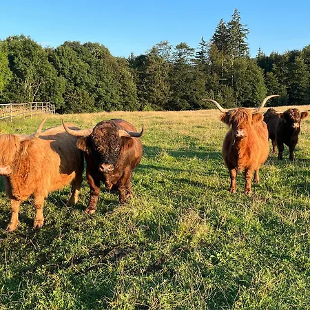 Hagert - Ankommen Und Wohlfuehlen